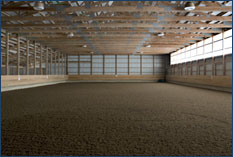 Arena
